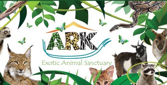 Exotic Animal Rescue in Lincoln