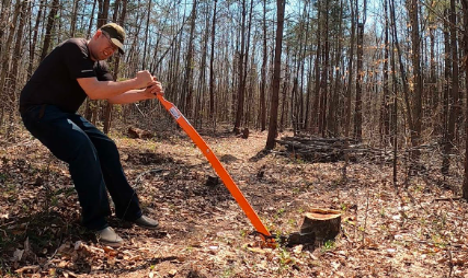 Stump Removal