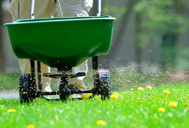 The Benefits of Professional Lawn Fertilization Services: Enhancing Your Green Space