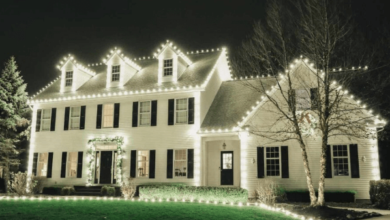 Christmas Light Installation