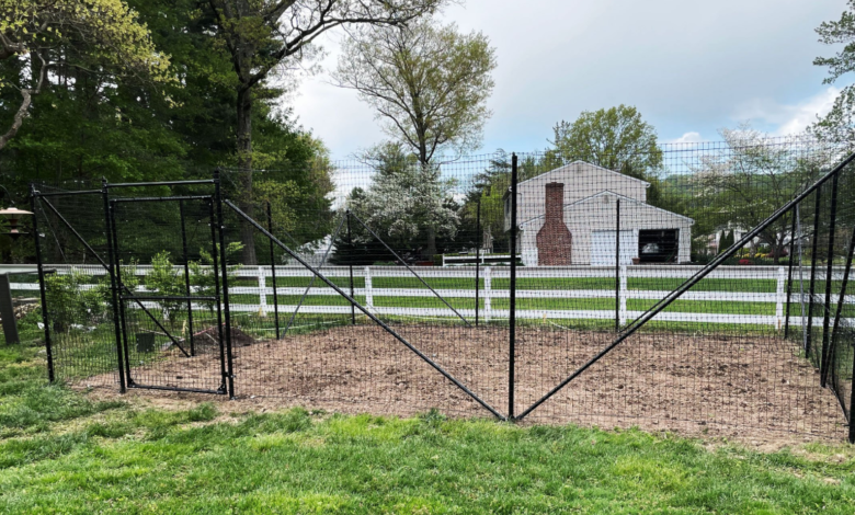 Vegetable Garden Fences Compared: Plastic or Metal?