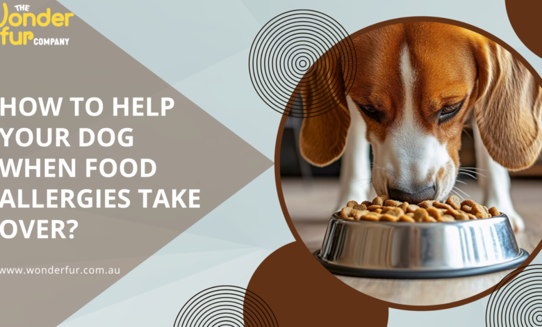 How to Help Your Dog When Food Allergies Take Over?