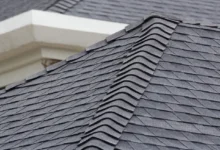 4 Clear Signs You Need a New Asphalt Shingle Roof in Tampa Bay