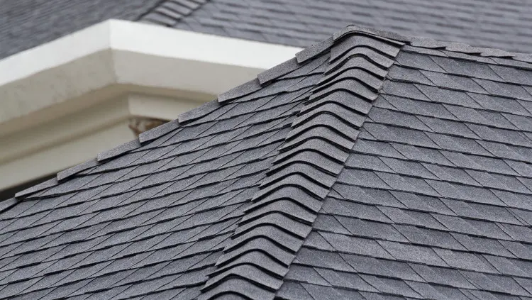 4 Clear Signs You Need a New Asphalt Shingle Roof in Tampa Bay