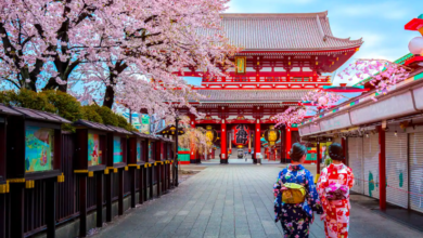 Tokyo Travel