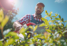 Unlocking Growth: Why SEO Outsourcing is Important for Landscaping Businesses