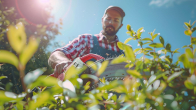 Unlocking Growth: Why SEO Outsourcing is Important for Landscaping Businesses