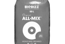 A Practical Guide to Biobizz Nutrients and Grow Light Kits