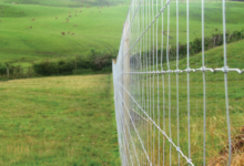 From White-Tailed to Mule: How the Types of Deer in the US Impact Your Fencing Strategy