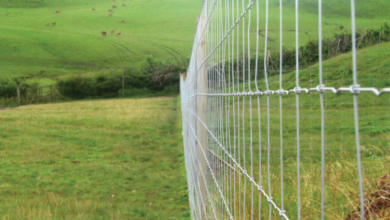 From White-Tailed to Mule: How the Types of Deer in the US Impact Your Fencing Strategy