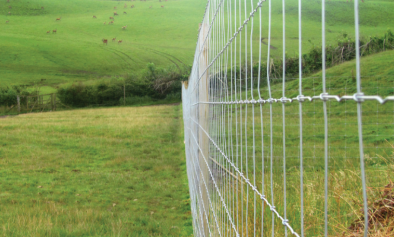 From White-Tailed to Mule: How the Types of Deer in the US Impact Your Fencing Strategy