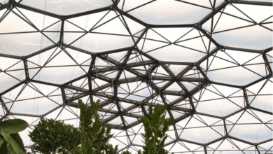 Polycarbonate Roof Domes: Versatile Daylighting for Modern Architecture
