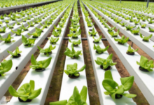 Sustainable Gardening: How to Reduce Water Waste and Optimize Power Usage
