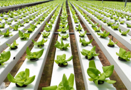 Sustainable Gardening: How to Reduce Water Waste and Optimize Power Usage