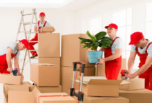 Why Charlotte Commercial Movers Are the Backbone of Seamless Business Relocation