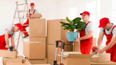 Why Charlotte Commercial Movers Are the Backbone of Seamless Business Relocation