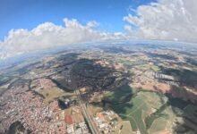 sector development overview data