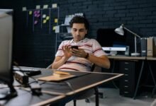 sector development scorecard analysis