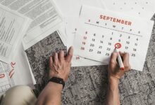 primiotranit review analysis completed