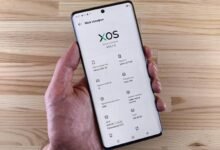 wezic model specifications outlined