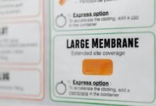 zeppelinargreve comprehensive overview provided