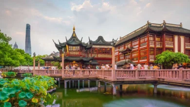 Top Reasons to Book Your China Trip with Flamingo Travels – Trusted Indian Tour Operator