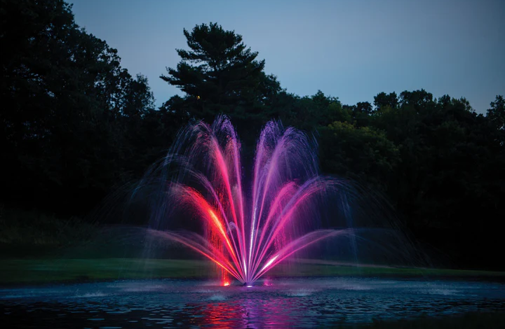 Kasco Fountains vs. Other Brands: What Makes Them Different?