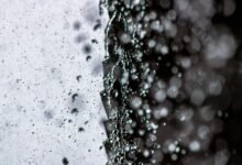 cyber stream stellar flux