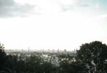 digital innovation for advantage