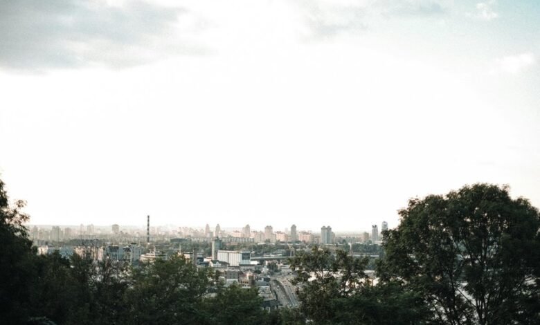 digital innovation for advantage