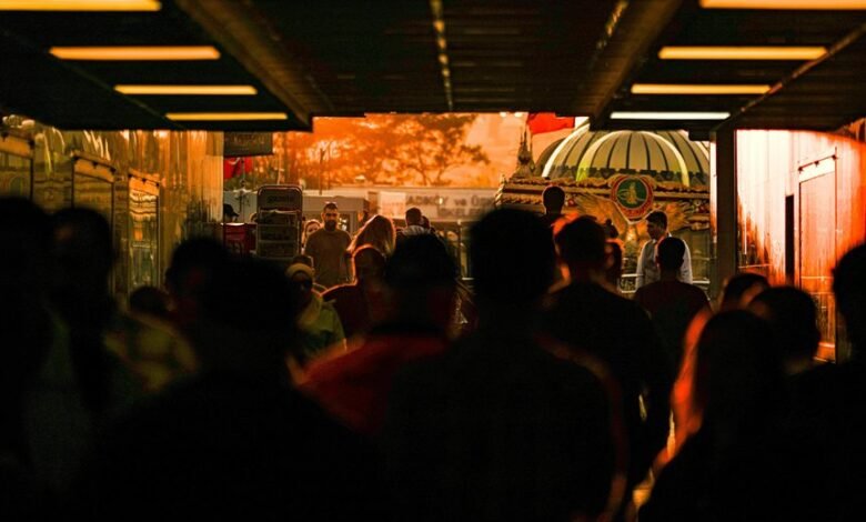 market dynamics overview report