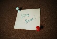 safety alerts for 18559694636