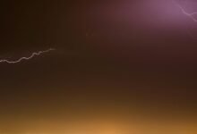 stellar surge growth path