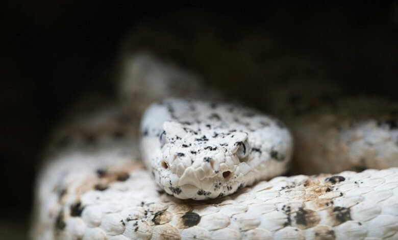 strategic scaling for industries