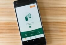 data portal contact research reveal