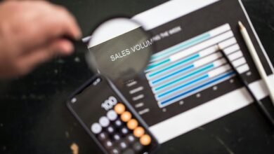 digital insight start phone lookup data