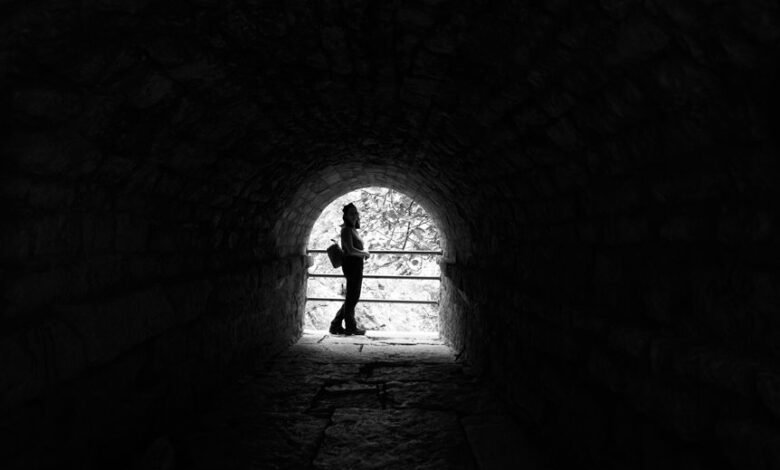 smart portal phone discovery revealing trusted