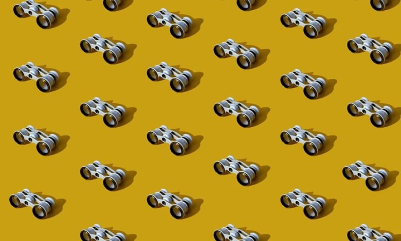 trace vision start revealing caller patterns