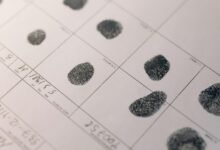 advanced record analysis identifiers and sources