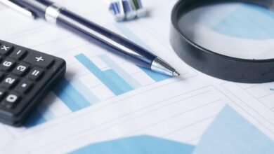 data audit identifiers and numbers