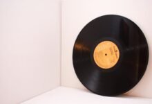 digital record inspection identifiers provided