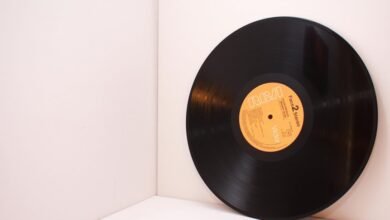 digital record inspection identifiers provided