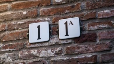 network record check numbers
