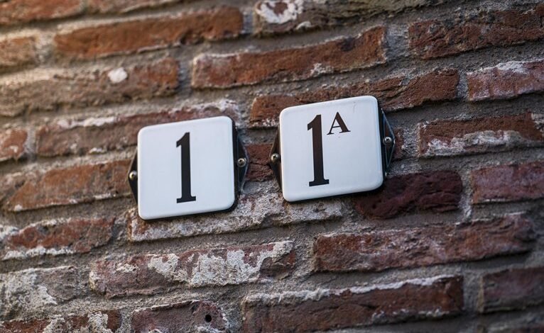 network record check numbers