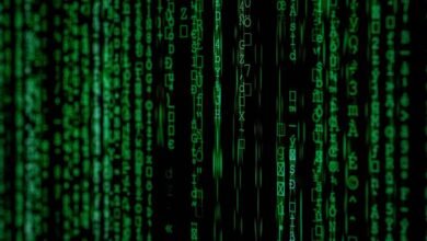 system identifiers and names 8444966499 8774876495 tordenhertugvine 775810269 ijgbafq