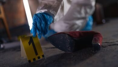 phone number registry evidence summary