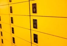 public number profiles requested for ten phone numbers