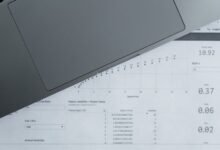 registry insights reveal multiple numbers