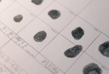 registry search across ten phone numbers
