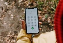verified number references for multiple numbers